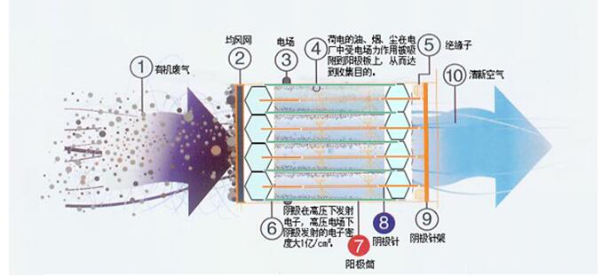 未标题-5.jpg